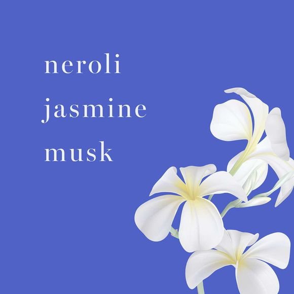 Night Magic Evening Musk Perfumed Skin Softener 4 Night Magic Evening Musk Perfumed Skin Softener - Image 4