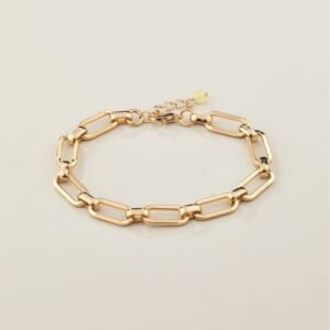 Sunlit Paperclip Bracelet