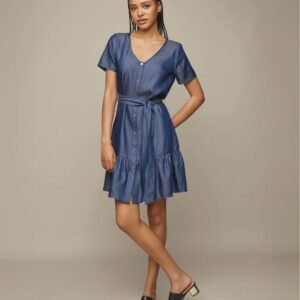 Chambray Dress