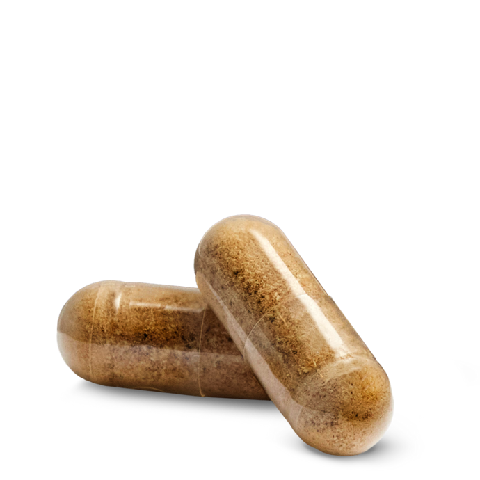 Nutrilite™ Cycle Support 2 Nutrilite™ Cycle Support - Image 2