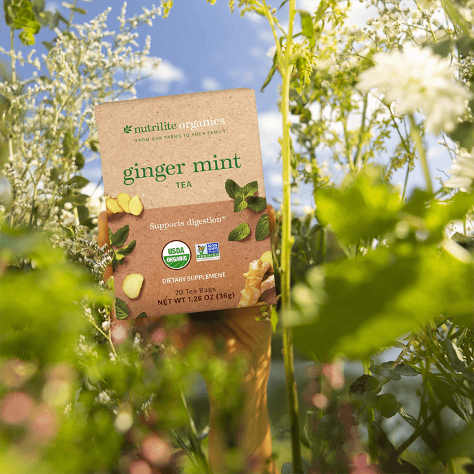 Nutrilite™ Organics Ginger Mint Tea 3 Nutrilite™ Organics Ginger Mint Tea - Image 3