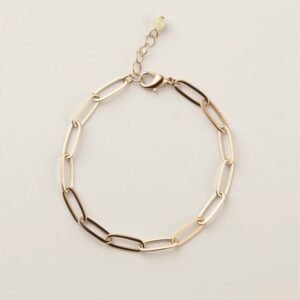 Link Up Paperclip Bracelet