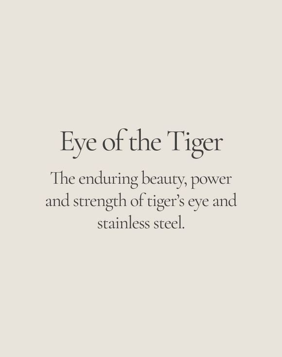Men’s Stainless Steel Tiger’s Eye Focus Necklace 4 Men’s Stainless Steel Tiger’s Eye Focus Necklace - Image 4